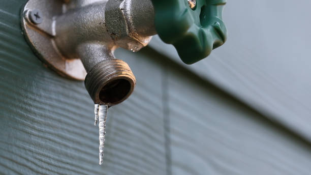 Best Drain Cleaning Services  in Orida Gulf Coast University, FL